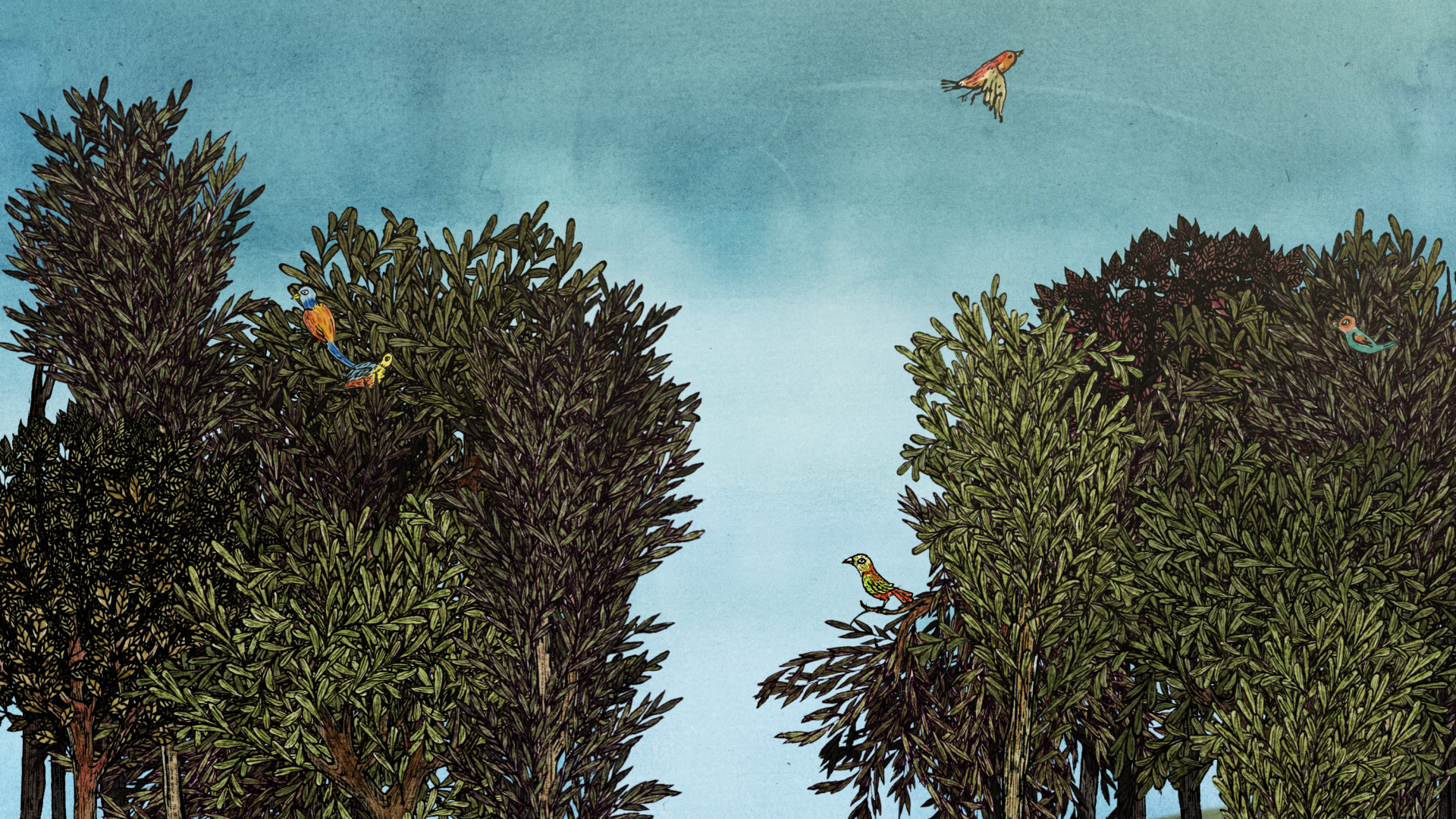 Aperçu cinéma d’animation